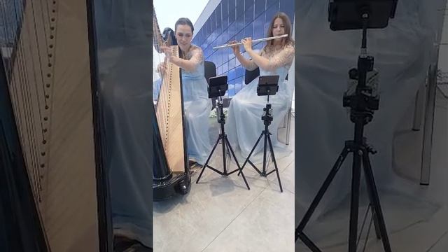 Арфа и флейта!