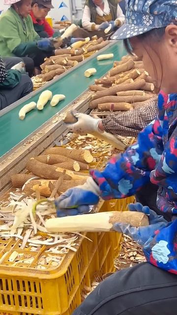 The process of peeling cassava skin to process it into food #shorts