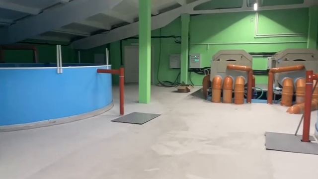 Форелевая ферма