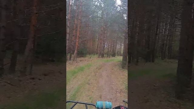 квадропрогулка