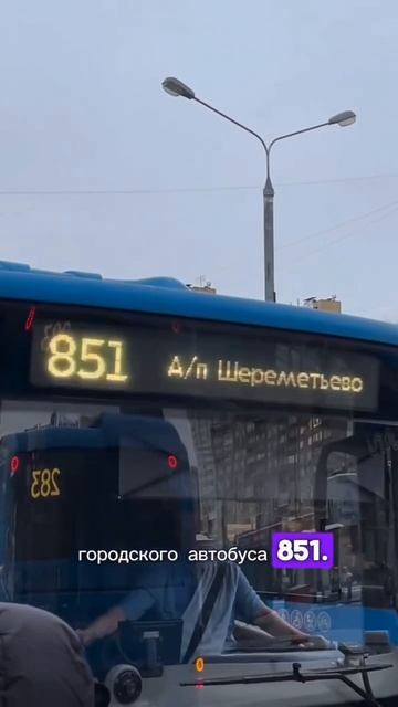 ✈️Парень рассказал, как дешевле всего добраться до Шереметьево✈️