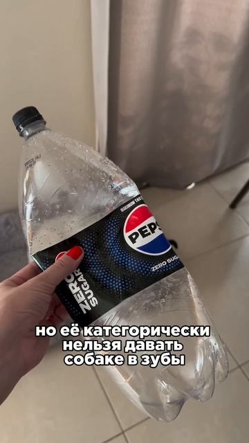 Почему нельзя давать пластиковую бутылку собаке
#собака #щенок #кинолог #кинологонлайн