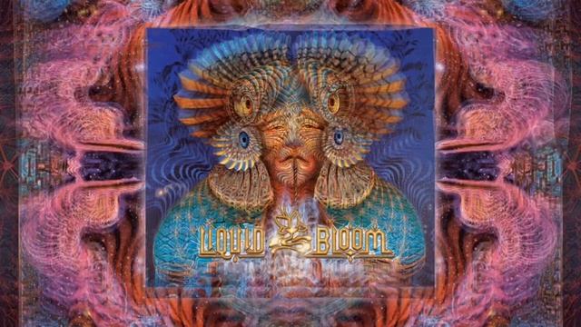 Liquid Bloom DJ Set @ Meow Wolf Santa Fe