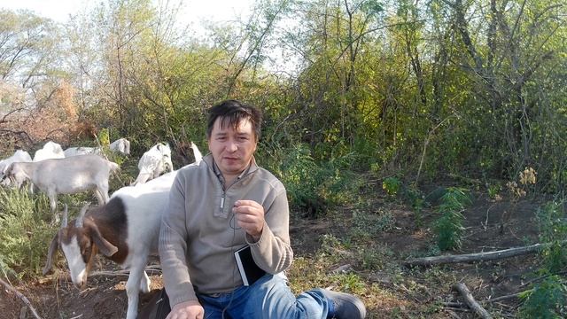 Почему Бог иногда не благословляет за доброе дело?