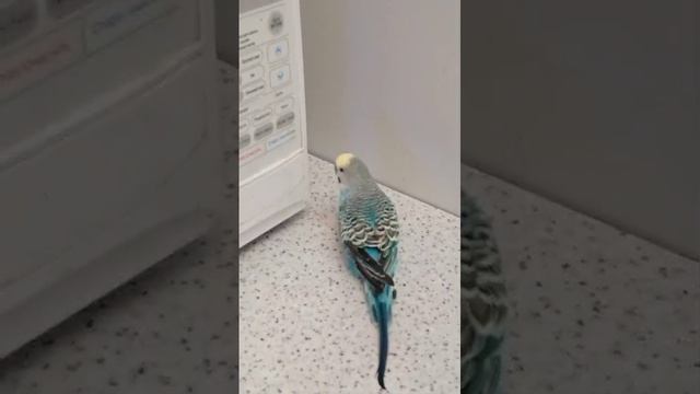 1000001538.mp4