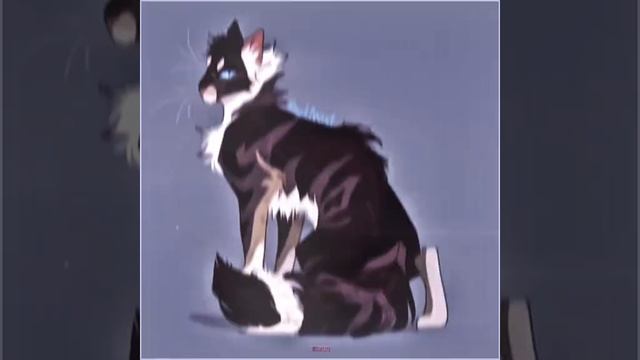 загруженное (6)