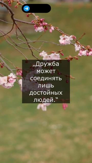 Цитаты древнеримского философа, Марка Тулия Цицерона.