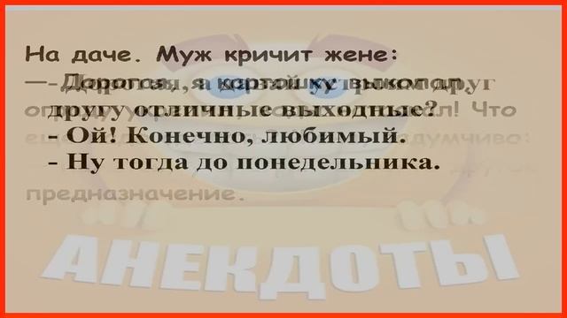 МИР СМЕШНЫХ ИСТОРИЙ – добро пожаловать в параллельную реальность! 🌀😆