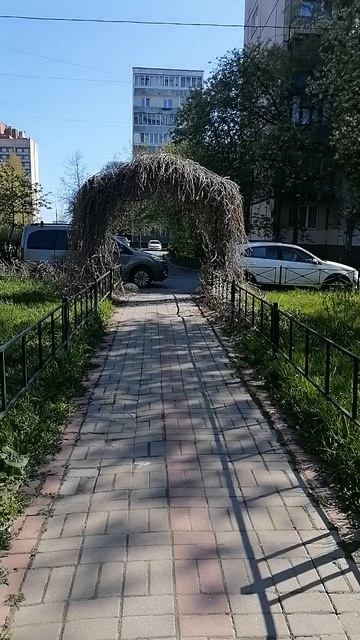Погода в Санкт-Петербурге в Невском районе 14/05/2025