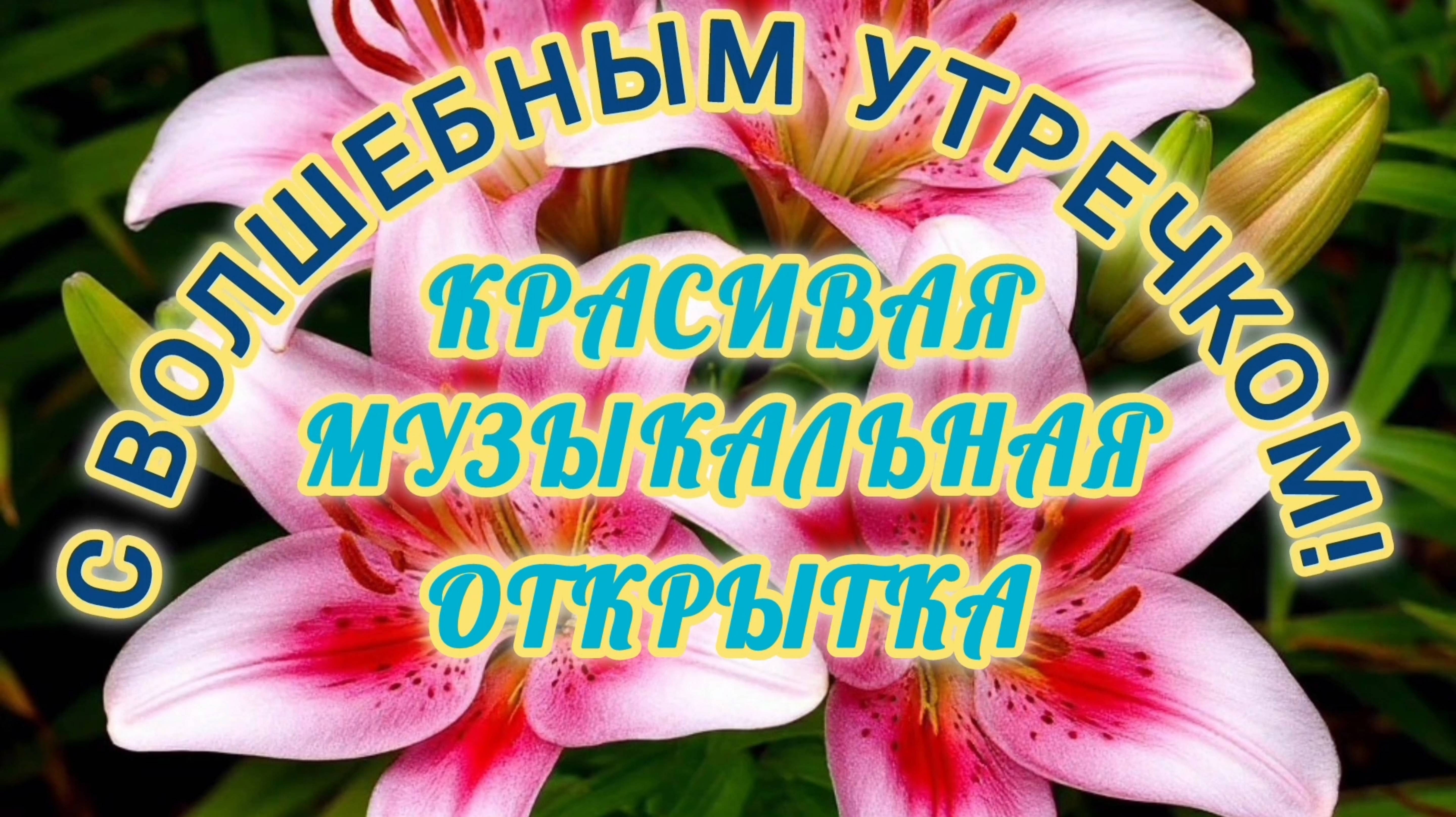 С ВОЛШЕБНЫМ УТРЕЧКОМ! 
КРАСИВАЯ МУЗЫКАЛЬНАЯ ОТКРЫТКА.