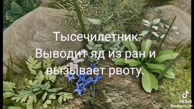 Помощь квэшником