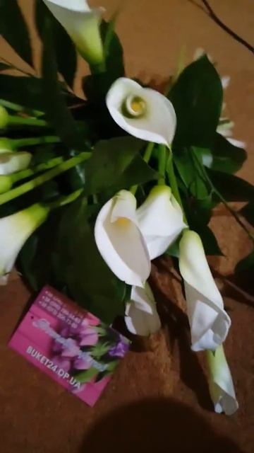 КАЛЛЫ ДНЕПР - ДОСТАВКА ЦВЕТОВ +38 (095) 789-34-83 ЗАКАЖИТЕ ПРЯМ