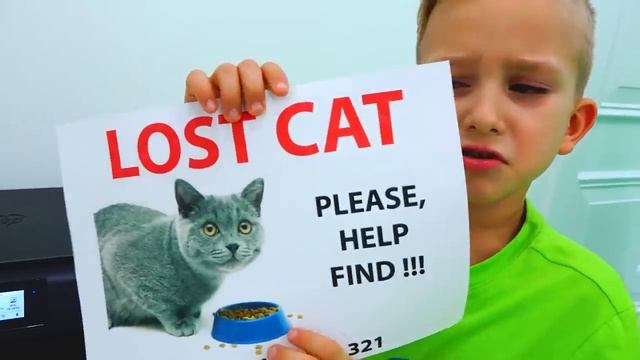 Влад и Никита потеряли кота