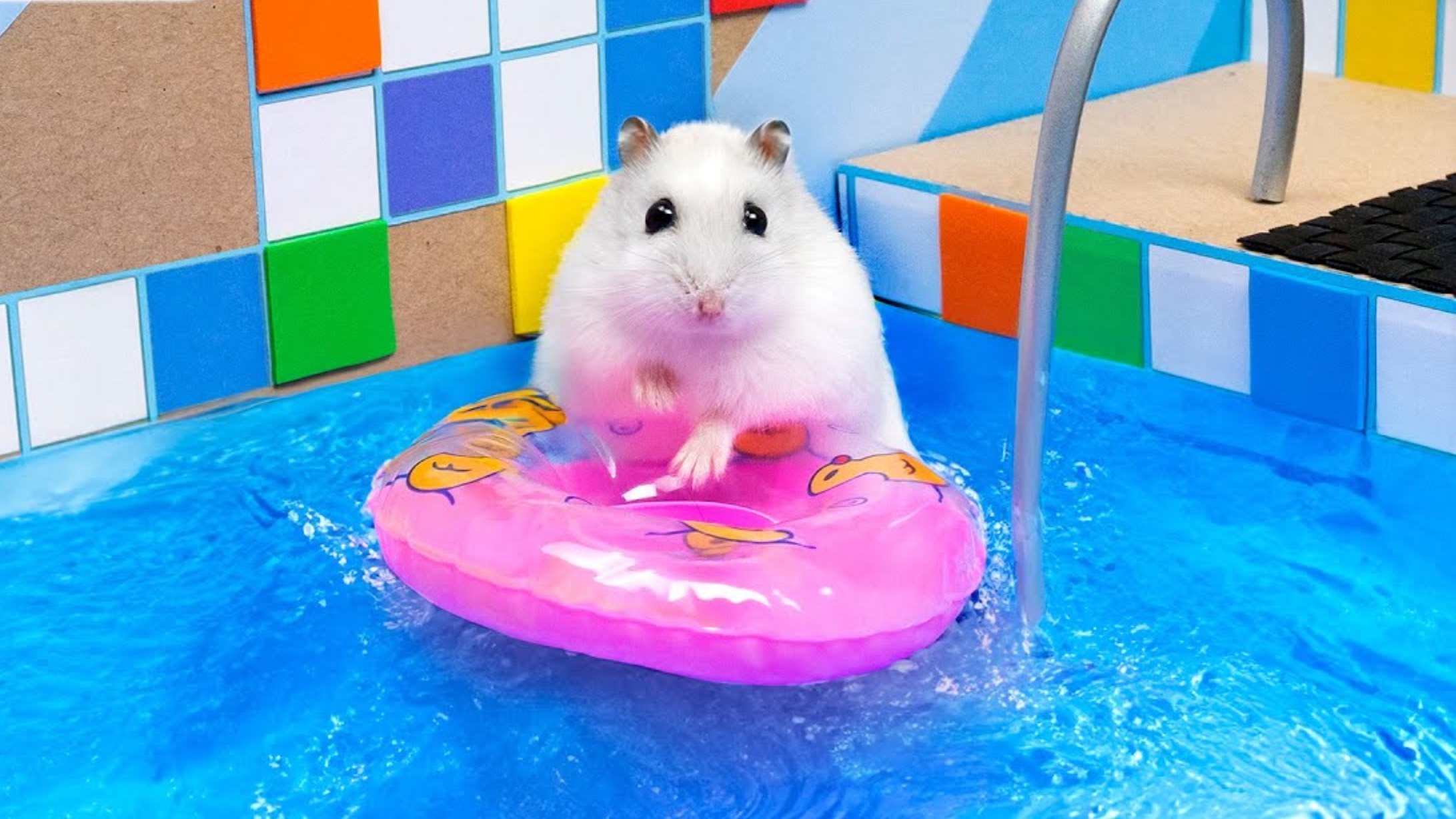 УДИВИТЕЛЬНЫЙ ЛАБИРИНТ С ХОМЯЧКОМ 🐹 / ВИДЕО ДЛЯ ДЕТЕЙ