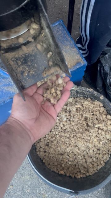 Мы на выставке Республика Дагестан город Каспийск На видео пресс гранулятор DR 150 inHome