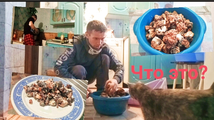 Z.Б.152. Включил режим ПОВАРА! Готовим СМОРЧКИ и СТРОЧКИ. От куда у меня столько ЭНЕРГИИ?