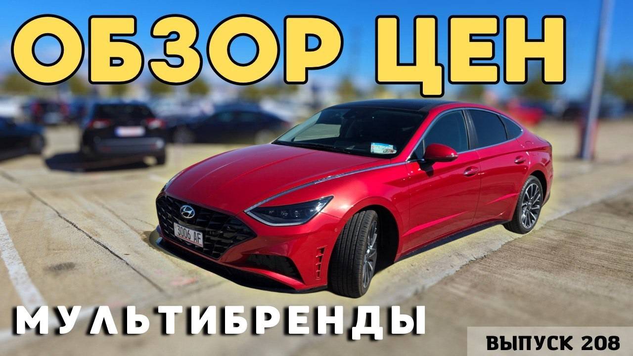 Обзор цен на мультибренды.Ранок Автопапа.Авто из Грузи