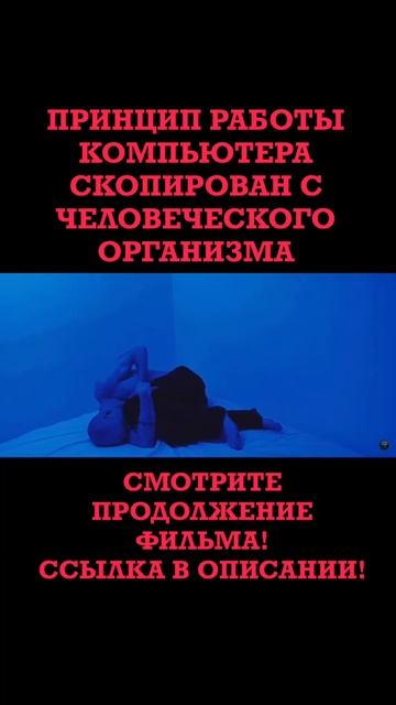 Принцип работы компьютера скопирован с человеческого