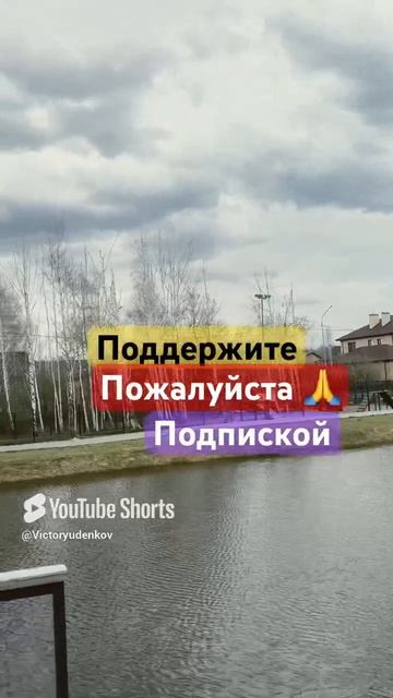 Сына боится чаек #юмор #рекомендации #топанонсы #втопы #дети #хочуврекомендации #прикол #юмористы