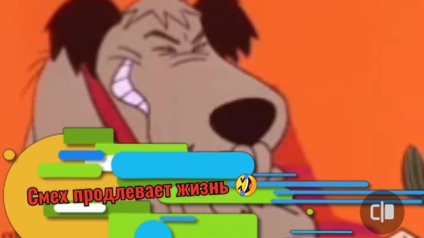 Время посмеяться 🤣🤣🤣