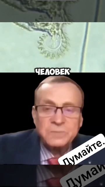 А вы как считаете?