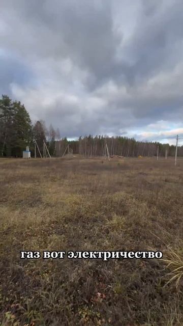Земля у воды для рыбалки и еще водоем для купаний лето?