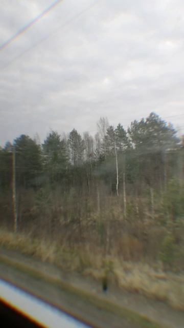 Москва Петушки