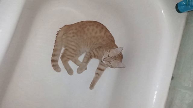 1000000411.mp4