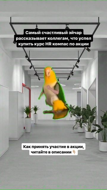 Гарантированные подарки всем участникам акции🎁