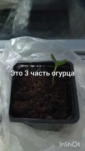 24 февраля 2025 г.