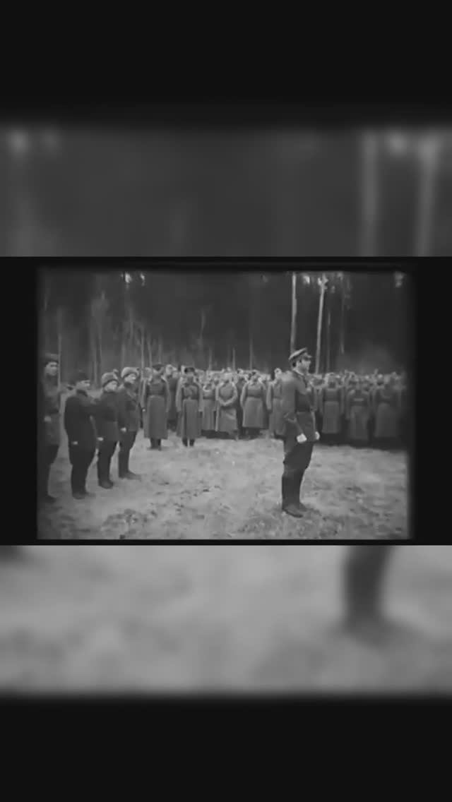 Выпускники Политеха: От учебных аудиторий к полям сражений. День Солдата