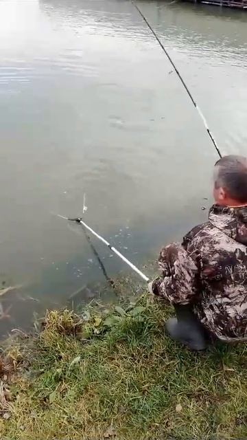 Карельский берег