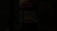 1000258647.mp4