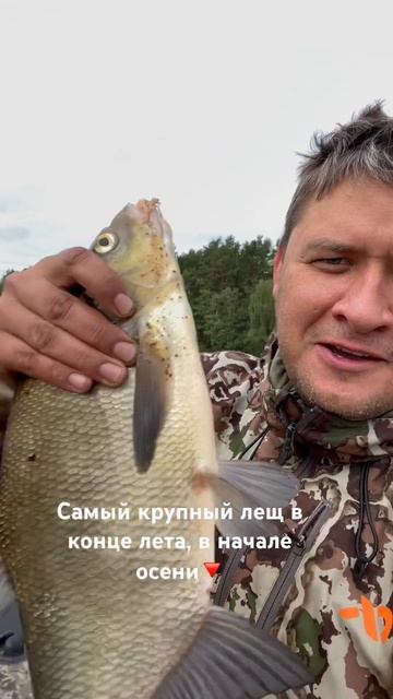 Почему сентябрь лучший месяц для ловли трофейного лещ
