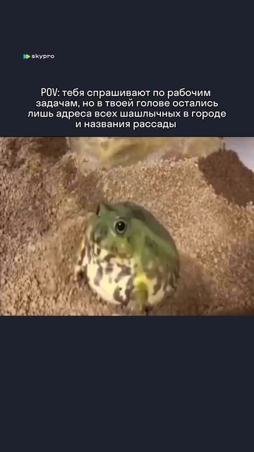 100% понимания, 0% осуждения