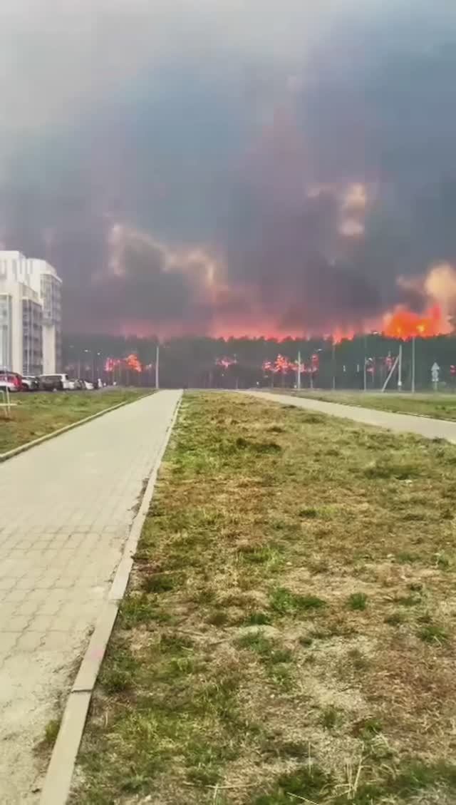 Страшные кадры из Амурской области