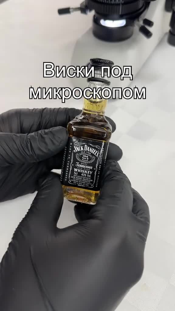 #микроскоп #подмикроскопом #наука #интересно #микромир