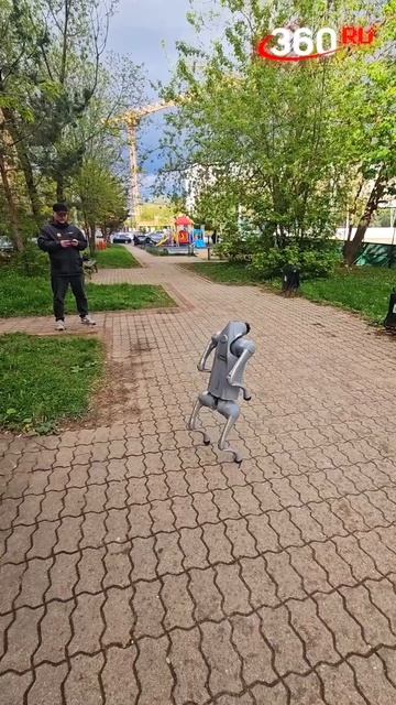 Робособака Unitree GO2 PRO (Аренда)