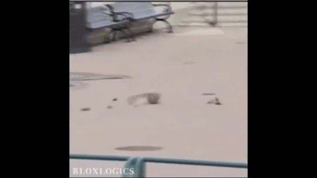 САМЫЕ НОВЫЕ ПРИКОЛЫ | УГАРНЫЕ ВИДЕО | ЛУЧШИЕ ПРИКОЛЫ ЗА НЕДЕЛЮ | ЗАСМЕЯЛСЯ-ПОДПИСАЛСЯ