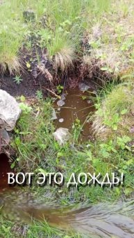 На поливал, дак на поливал!