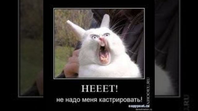 будет стрим в 15:00