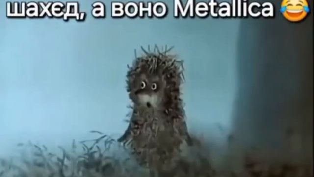 downloads_video852842073_456241864