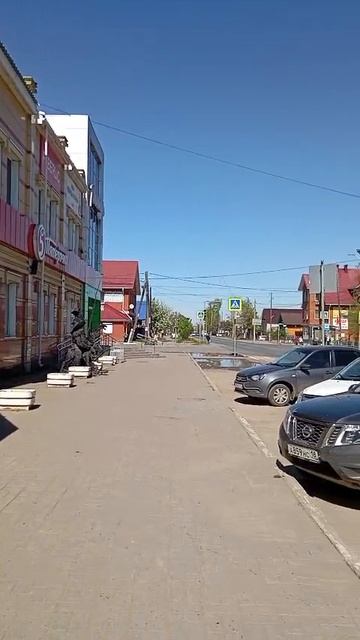 Азина, д 288