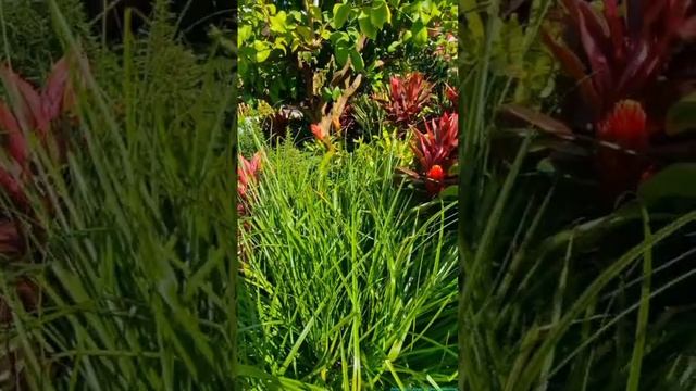 Красивый вид! Манежная площадь!