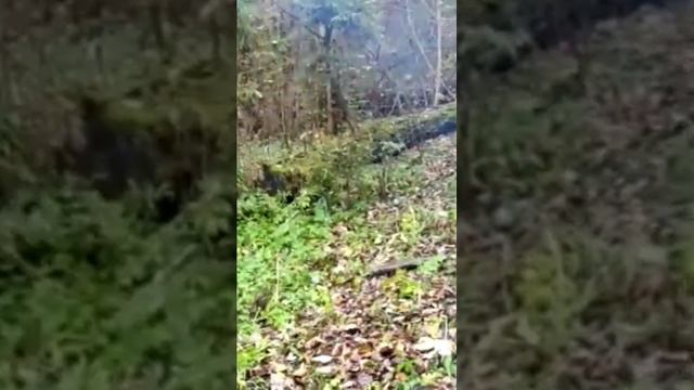 С Великим праздником! 80 лет победы! С моим боевым командиром 2-ой чеченской!!! Всем мирного неба!