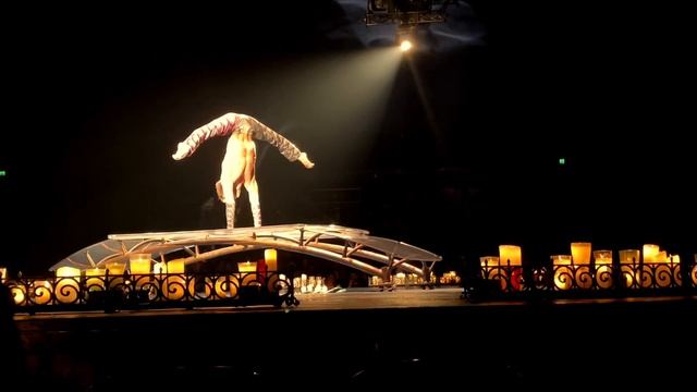 LUZIA. Mansnake. Человек-змея. #larissa_proart #luzia #cirquedusoleil