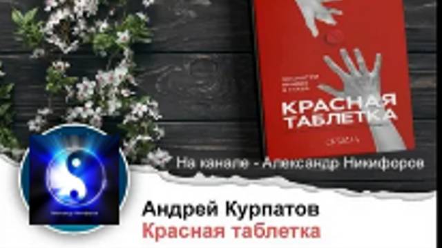 Аудиокнига. Красная таблетка 2.  "Вся правда об успехе". Часть 2 ( из 2-х )