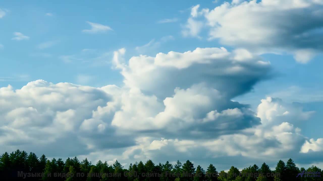 Природа становится личной вселенной под этот трек - Foggy Minded World -- HoliznaCC0 -- Shooting Gho