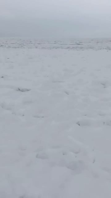 Онежское озеро 🎣28.02.25 года.Карелия.
