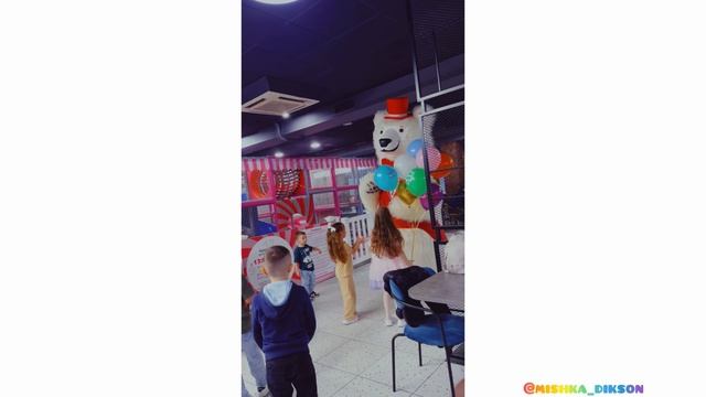 Мишка Диксон 8 905 781 55 25